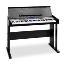 Carnegy-61, elektronický klavír, 61 klávesov, MIDI