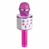 KM01 2 v 1 karaoke mikrofón